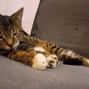 Meet your Posher, Elizabeth